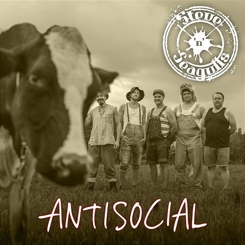Antisocial Steve 'n' Seagulls