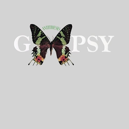 Antithesis Gypsy