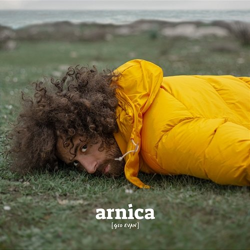Arnica Gio Evan