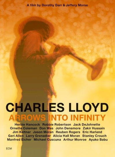 Arrows Into Infinity Lloyd Charles