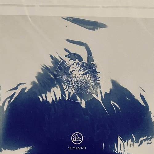 Artifacts EP Temudo