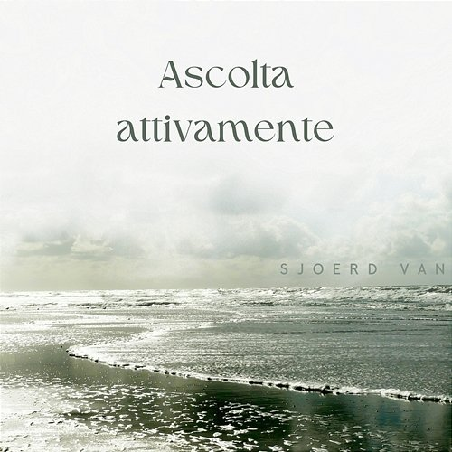 Ascolta attivamente Sjoerd van