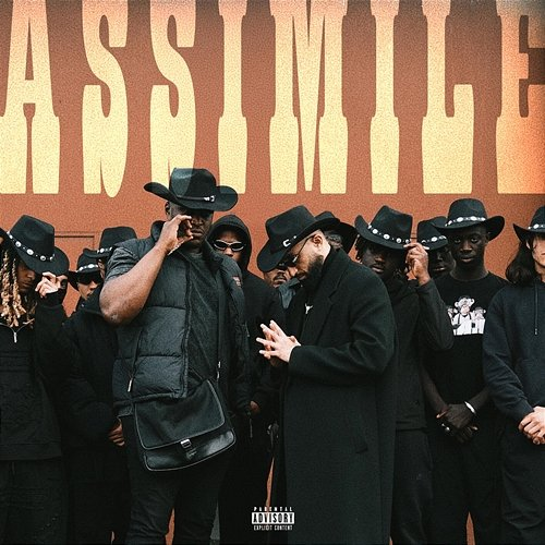 Assimile Niro