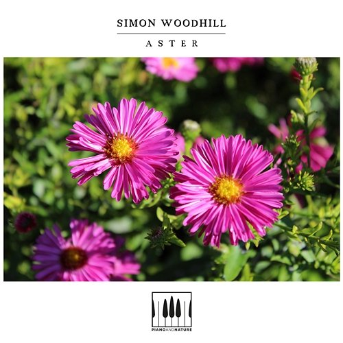 Aster Simon Woodhill