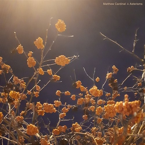 Asterisms Matthew Cardinal