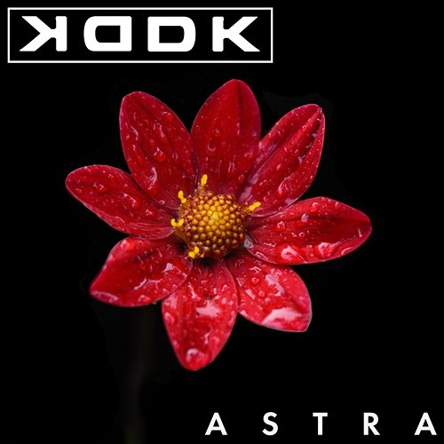 Astra KDDK