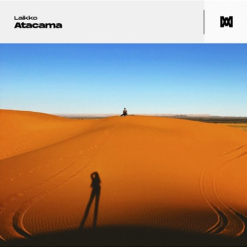 Atacama Laikko