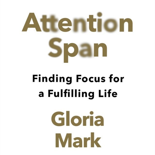 Attention Span - audiobook Mark Gloria