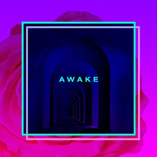 Awake New Bleach