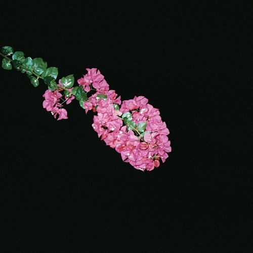 AYO jonas.f.k x Manna