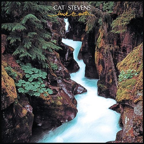 Back to Earth Yusuf, Cat Stevens
