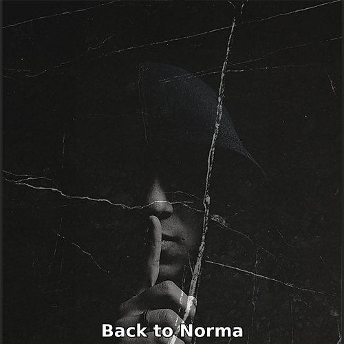 Back To Norma B Vini