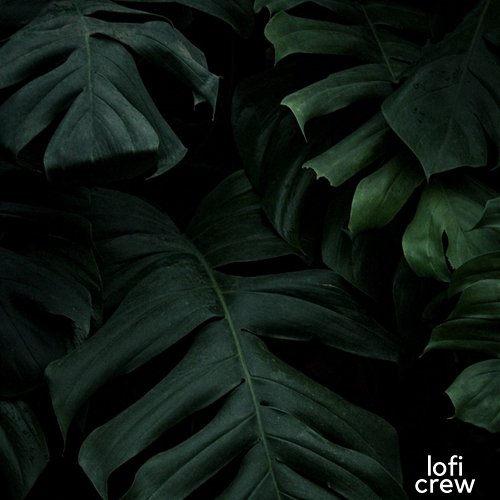 Background LoFi For Study Dark Lofi