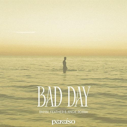 Bad Day BNHM, Feather, Angie Robba