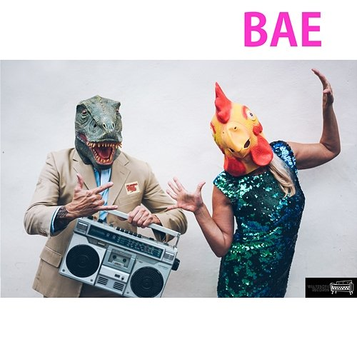 BAE HUS