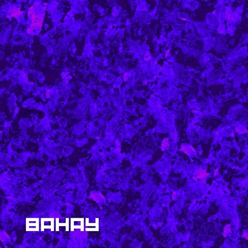 Bahay Hensiv