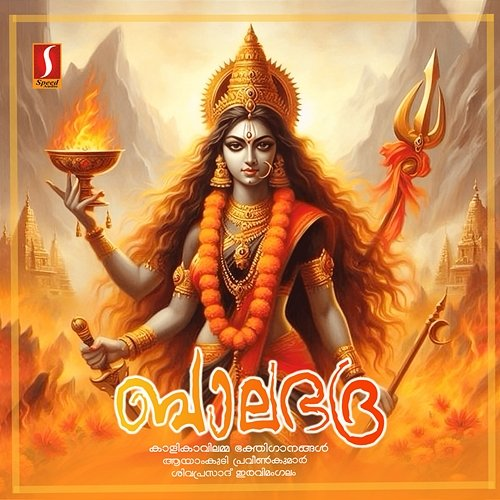 Balabhadra Aayamkudy Praveen Kumar & Shivaprasad Eravimangalam