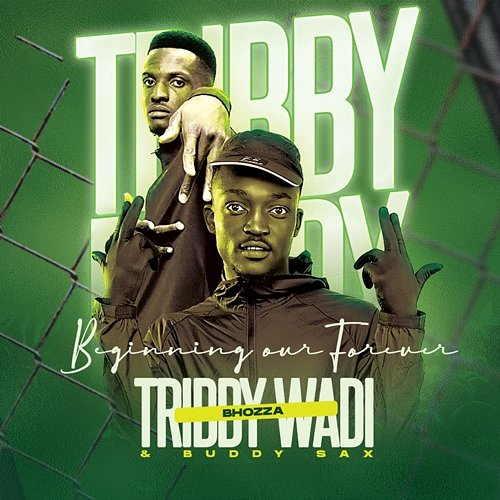 Bambi Ntate Stunna, Tribby Wadi Bhozza & Buddy Sax feat. Shandesh