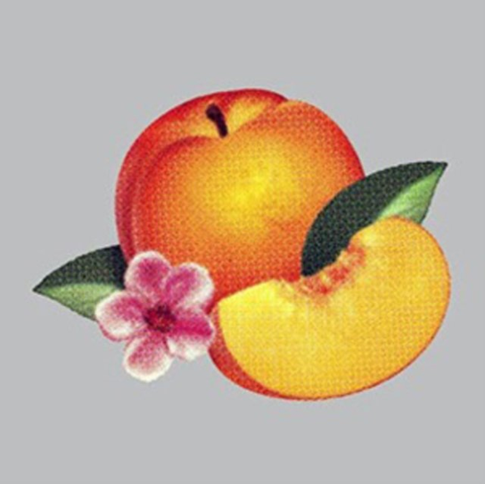 Bankrupt Phoenix