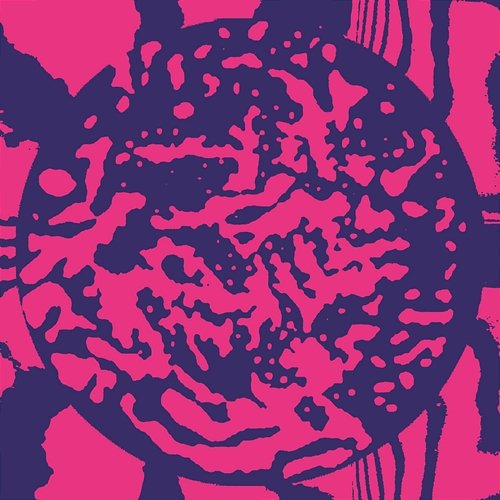 Baresi Alessandro Cortini, Daniel Avery
