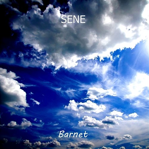 Barnet SENE