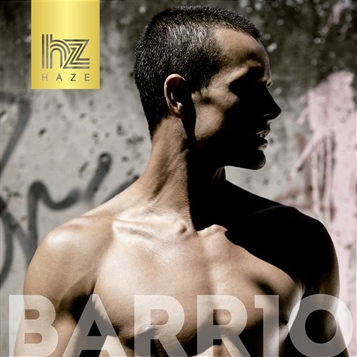 BARR10 Haze