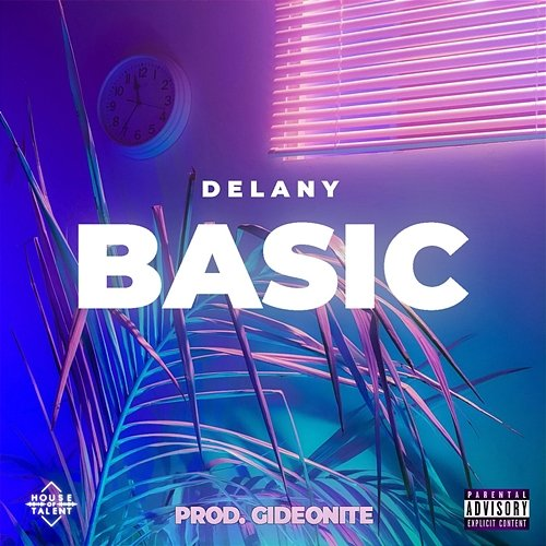 Basic Delany