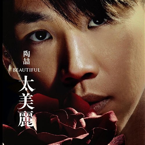 Beautiful David Tao