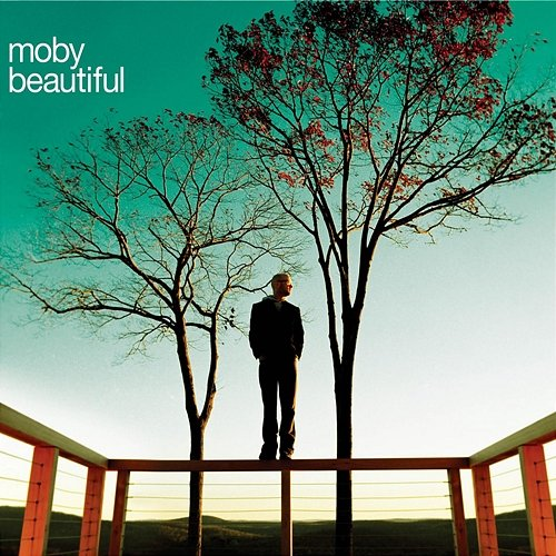 Beautiful Moby