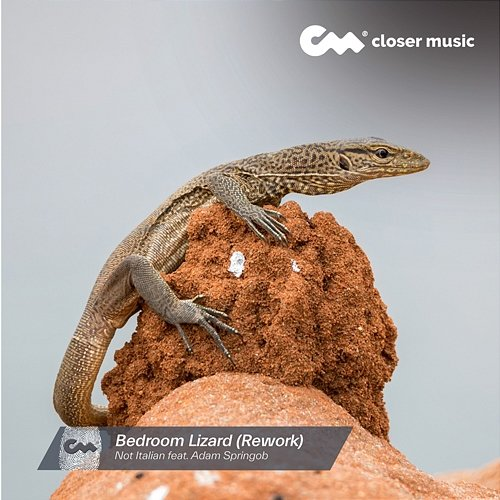 Bedroom Lizard Not Italian