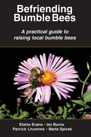 Befriending Bumble Bees Elaine Evans