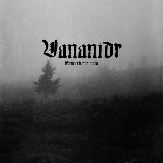 Beneath The Mold Vananidr