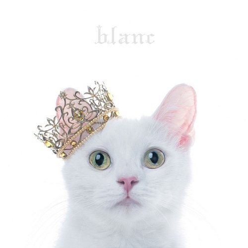 BEST SELECTION "blanc" Aimer
