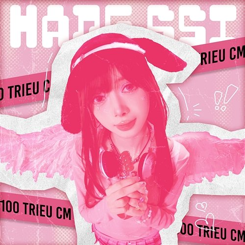 Bfriend Hằng ssi, Aries tis