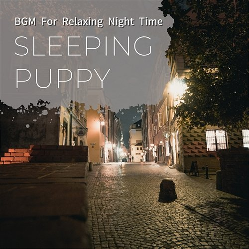 Bgm for Relaxing Night Time Sleeping Puppy