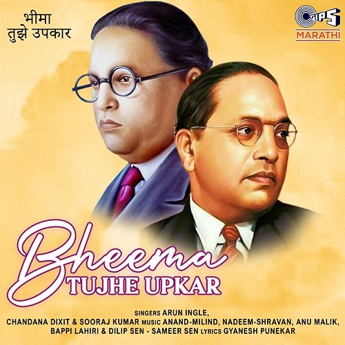 Bheema Tujhe Upkar Anand-Milind, Anu Malik, Bappi Lahiri, Dilip Sen-Sameer Sen, Nadeem-Shravan