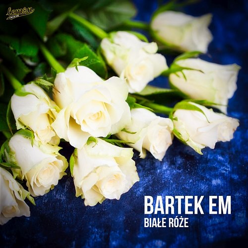 Białe róże Bartek Em