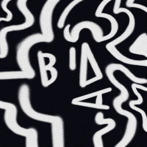 BIDA Janas