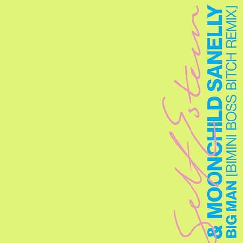 Big Man Self Esteem, Bimini, Moonchild Sanelly