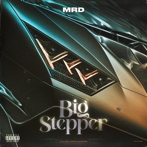 Big Stepper MRD