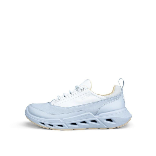 Biom 720 GTX Ecco