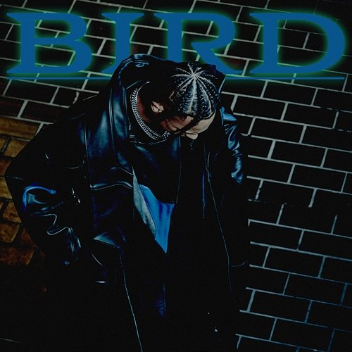 Bird Pronto