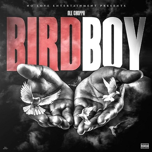 BIRDBOY NLE Choppa