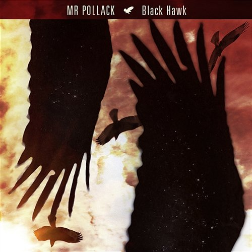 Black Hawk Mr. Pollack