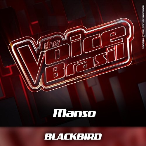 Blackbird Manso