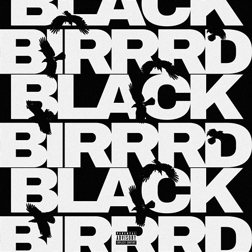 BLACKBIRRRD Gali