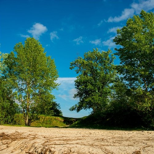 Blackmeadow Fields Blitzsurfing