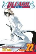 Bleach Kubo Tite