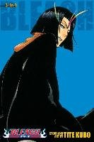 Bleach Kubo Tite