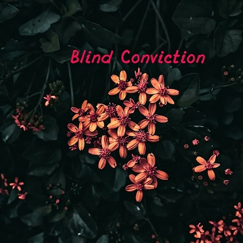 Blind Conviction Pamela Sheppard